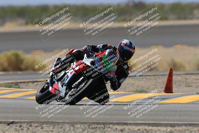 media/Oct-08-2022-SoCal Trackdays (Sat) [[1fc3beec89]]/Turn 14 (1050am)/